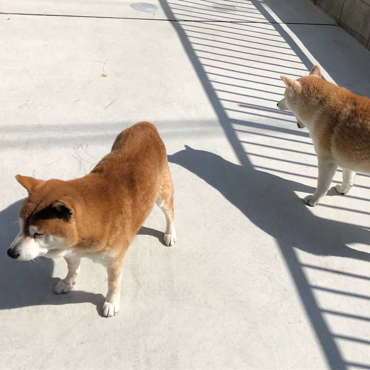 957888c2 1256 4529 8c85 144b82a4962c 1551004368581