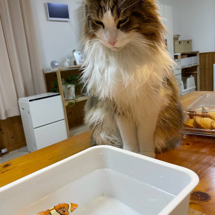 9578df9d f25e 4656 a12d 418f9f70fe78 1673699600698