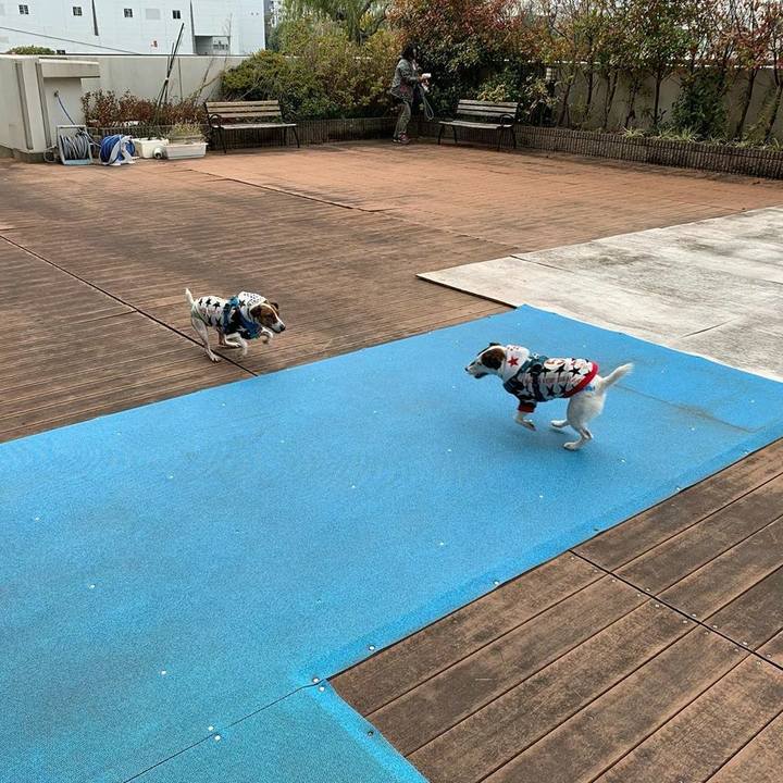 9578effd 5940 47c5 84f7 9983309b96a3 1576040946300