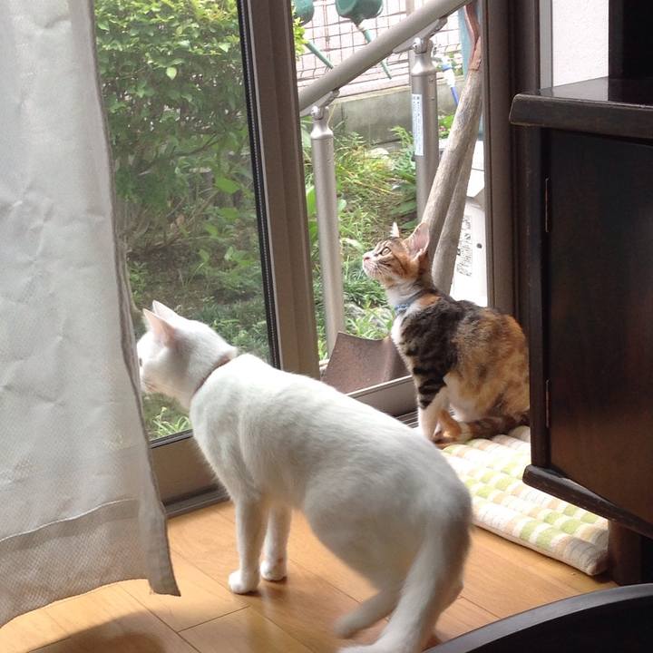 9578f26a b5ce 4378 b63a faa17689a263 1629249606182