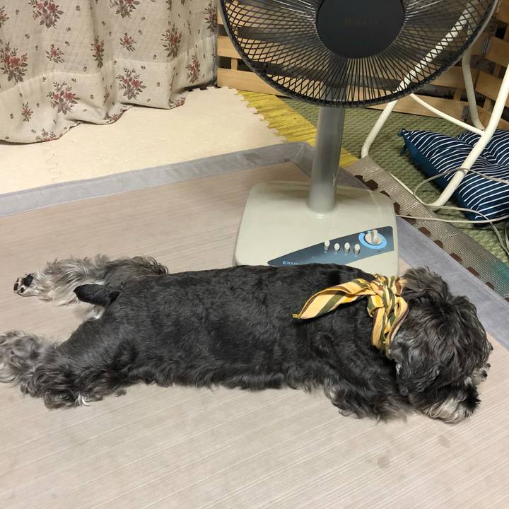 9578f47c 5059 4562 855c e350fb6063f0 1626785157280