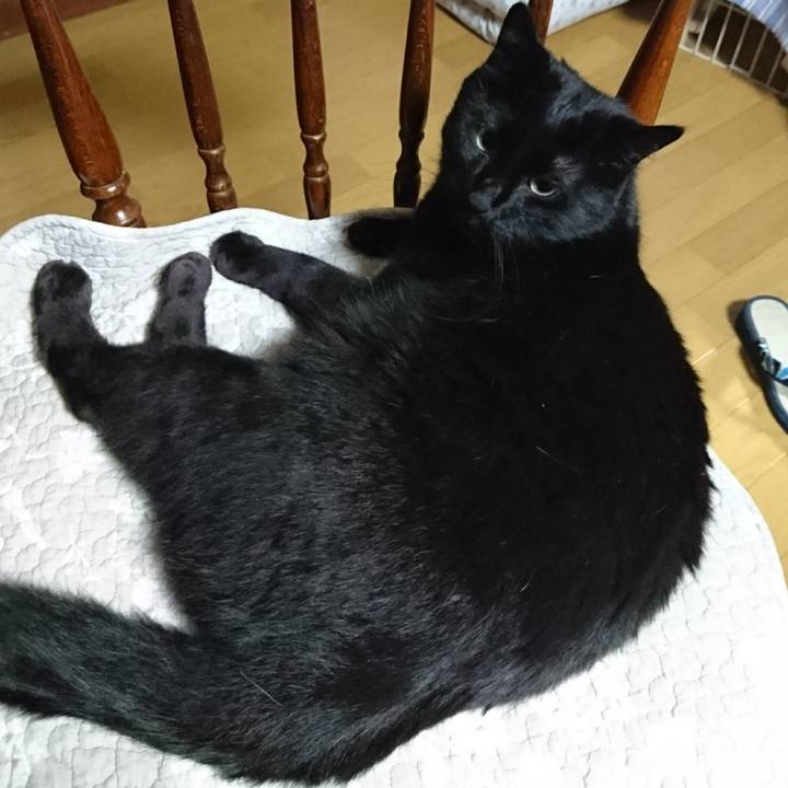 95792e32 6bae 4cd2 b040 08df13db4314 1534258438984