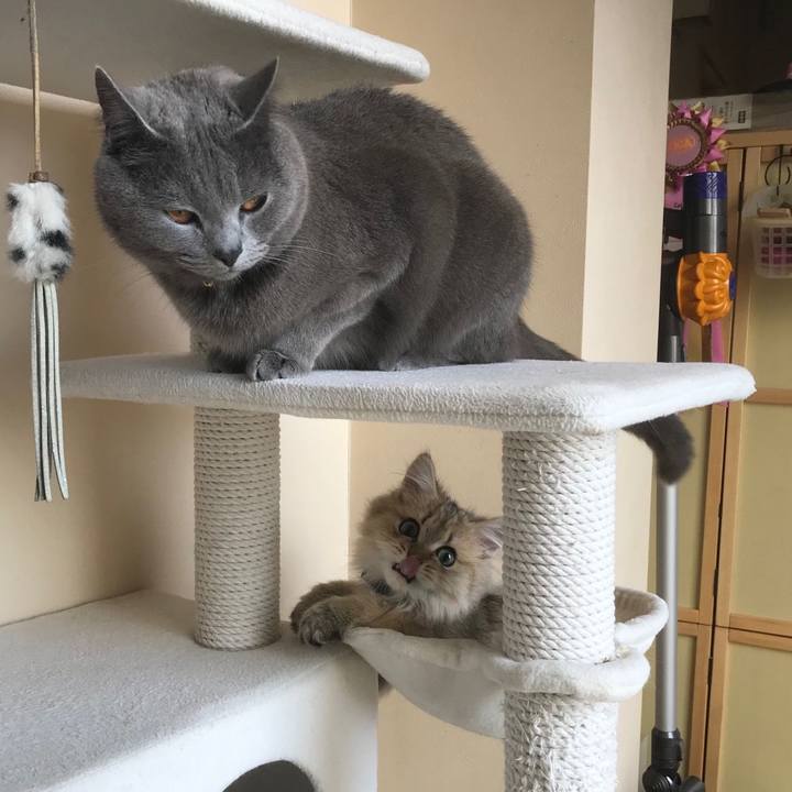 95797cc7 6be9 4d25 9c64 267f74ef873f 1558484798929