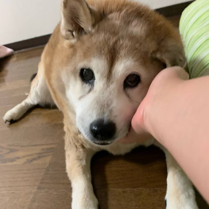 95799085 f23e 4099 8ab1 ef7fb66b7c55 1631793383384