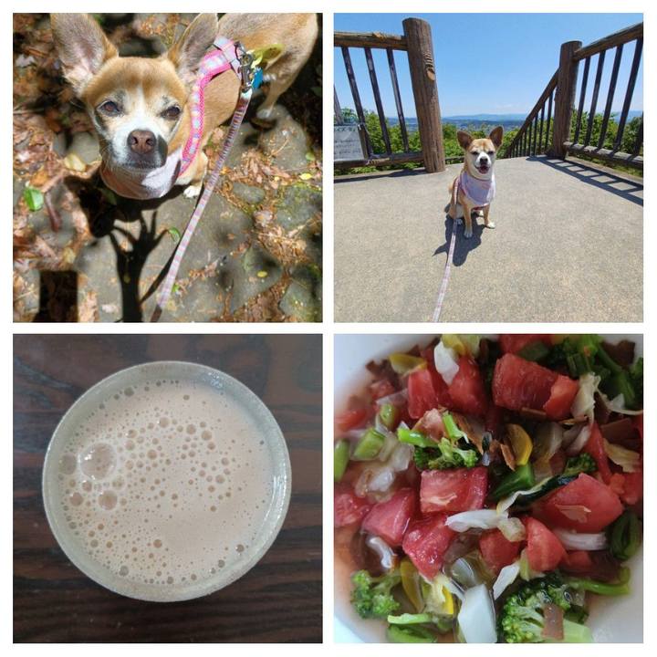 95799353 b6c3 4e19 9ccd 380484022ea9 1655025354191