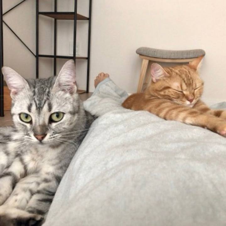 9579a536 95f8 4290 8381 7ad042b2990b 1533163176285