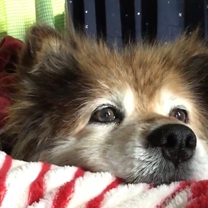 9579cc1d f7b5 4a68 9939 bc238453b829 1604172685259