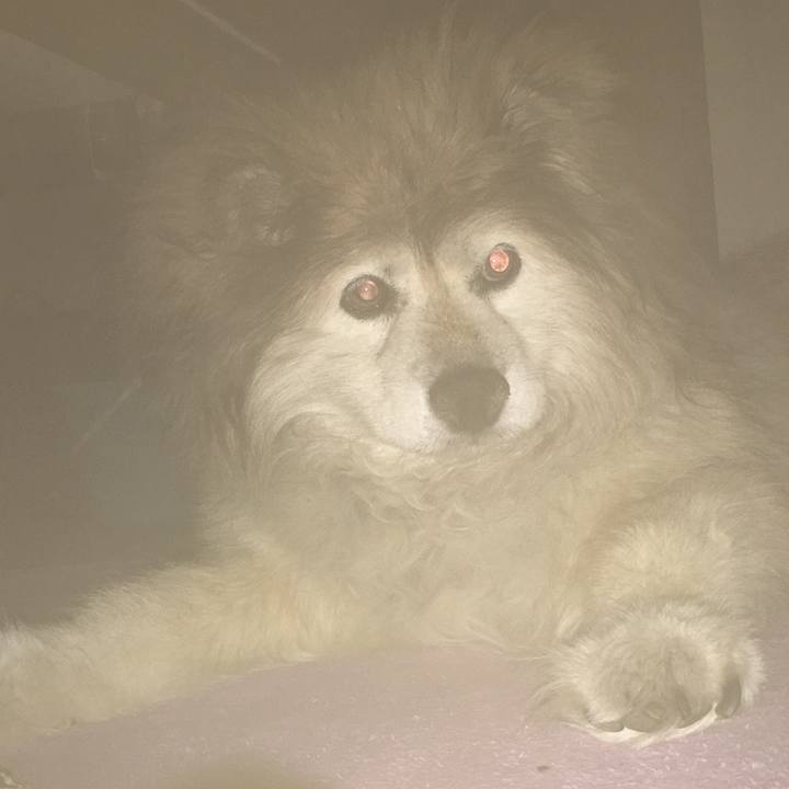 9579f9d8 819f 4635 9df3 f4457828aee1 1589153847523