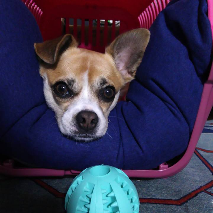 957a1f7e cb70 46a3 8258 67562ab5819e 1530201613750