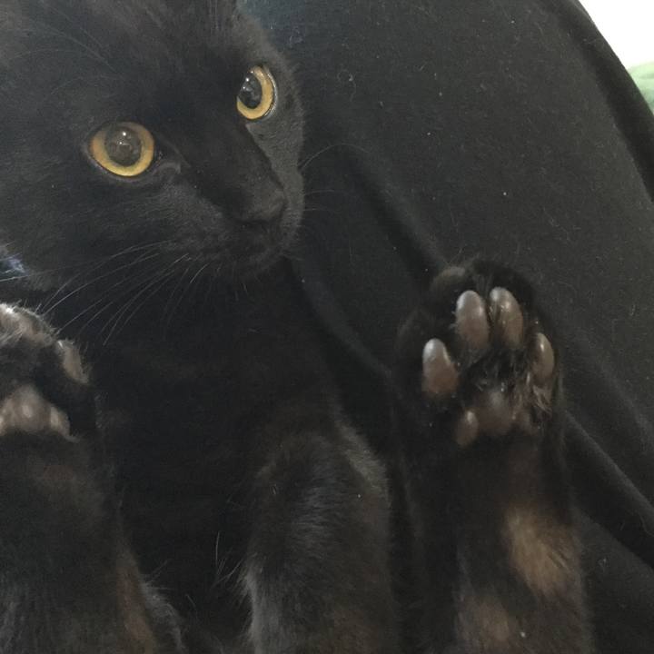 957a26f0 c858 496e ad5d b4291bd611c8 1511941229070