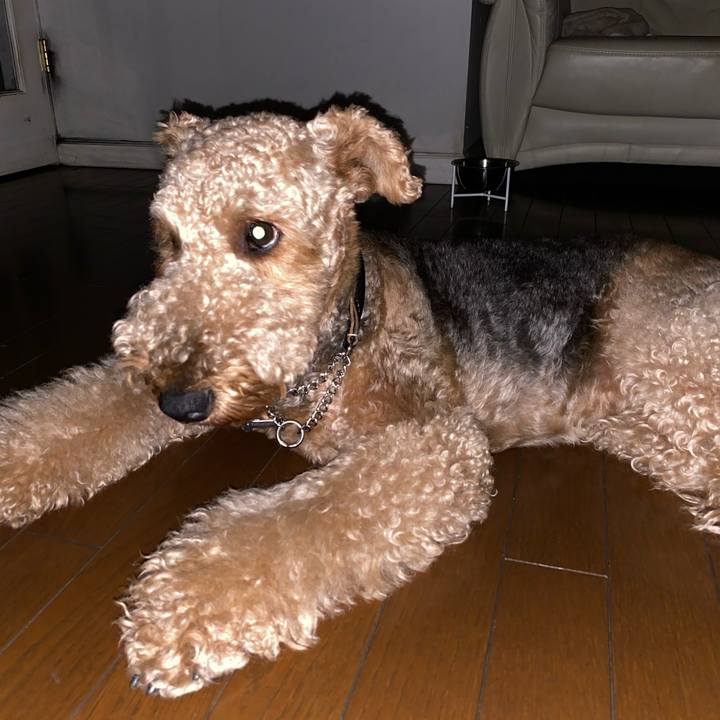 957a4ff8 2847 4810 9709 0a70d9282cc8 1569354435720