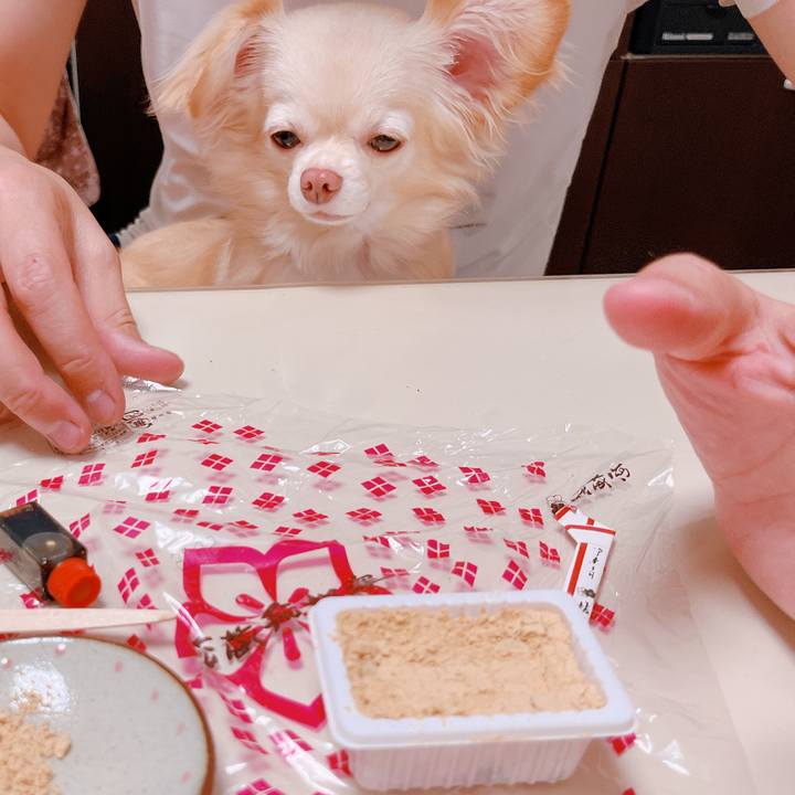 957a8ab8 a5f1 4603 9d73 0db0ed0ec5e0 1662883244422