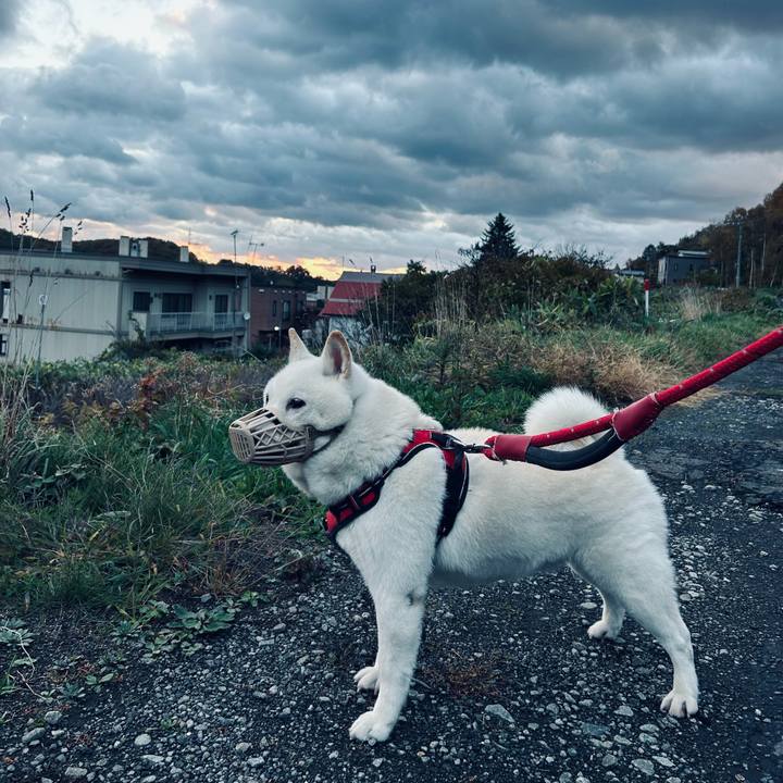 957a8eb8 d9cd 4524 b657 300cac5777f0 1760822133817