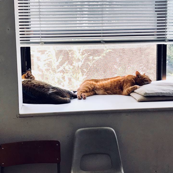 957aff01 31ee 4322 802d 27172d289c3b 1528083880662