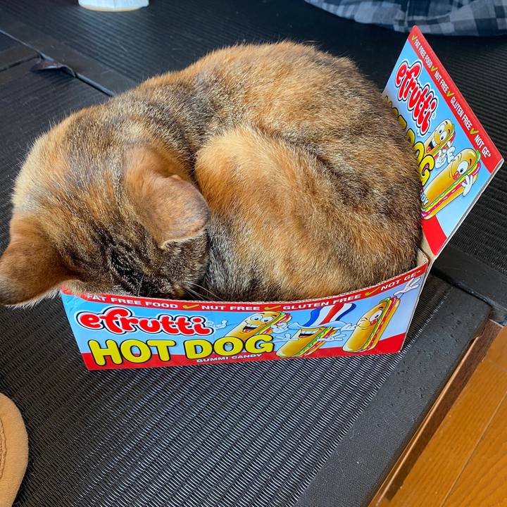 957b2e29 3a7a 4d9c aa33 9be75fbfcad8 1583208365733