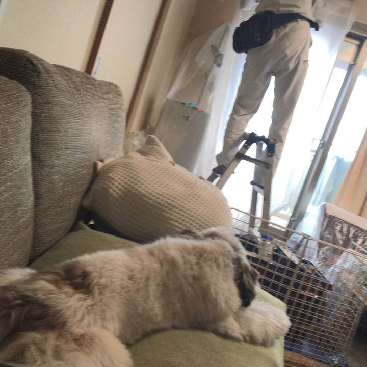 957b3ffb 9cbb 4e39 95fb 68b020bb88a7 1526627959079