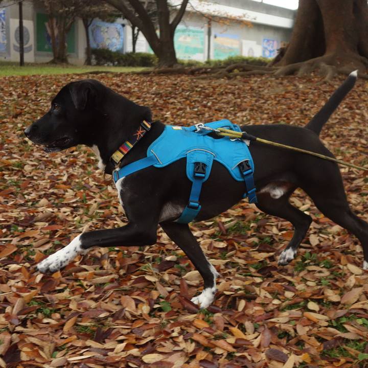 957b47c1 66b8 4fed a19e 8c3a2a6b1844 1605743555808