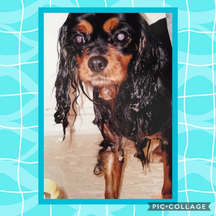 957b5cab 9f76 4f0c 9fd5 1b85a98288df 1533439475787