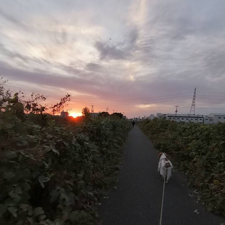 957bd055 7ea4 4231 8452 50988312373c 1573377509097