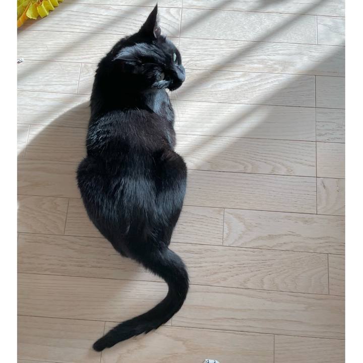 957c4481 f0af 4f18 8f9a a70f28fbb071 1714827204672