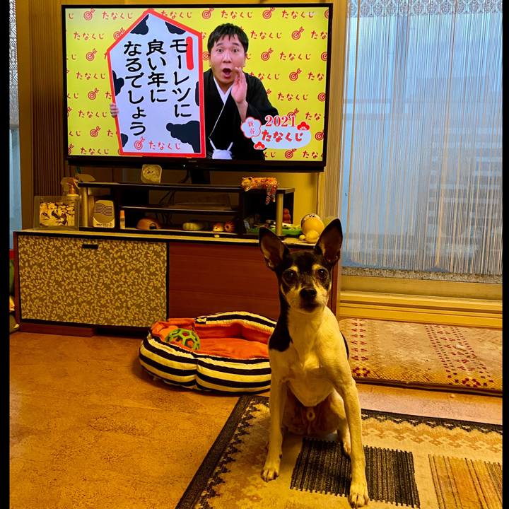 957c72dc 7447 44ba 96a9 5109971b33e9 1609711644410