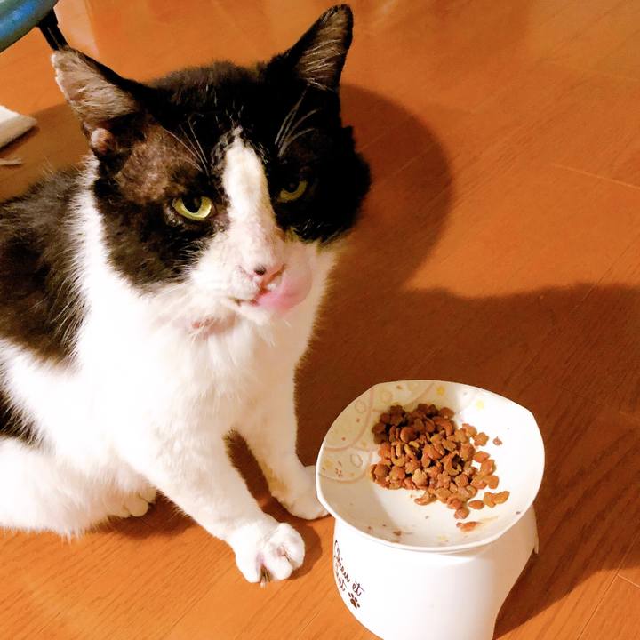 957c7fdf a4eb 47b0 9dea ca041a31862e 1618570927598