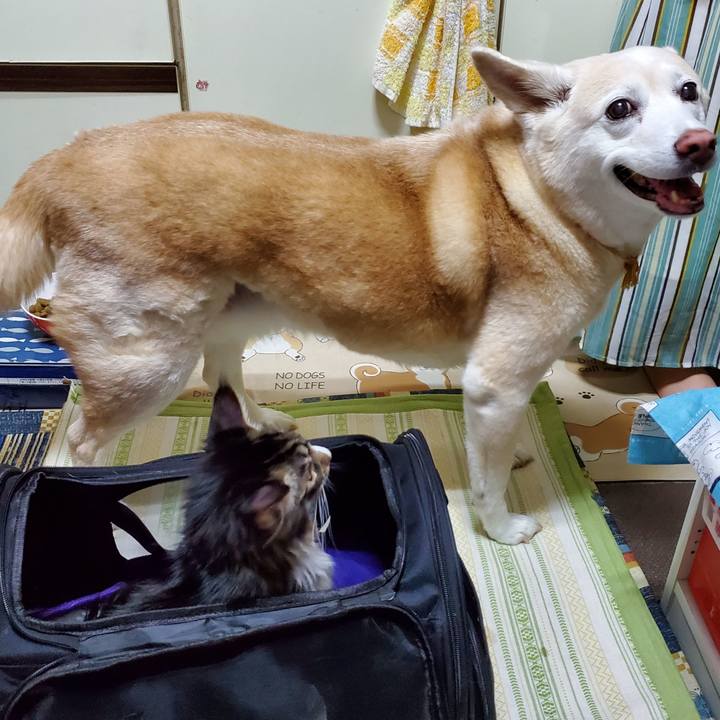 957c9616 df83 4bb9 9425 12ba7ac05141 1662517424948