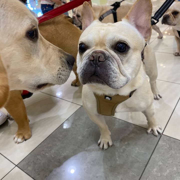 957cbd5f 038d 4ec9 a2d2 803d2163821f 1620538840738