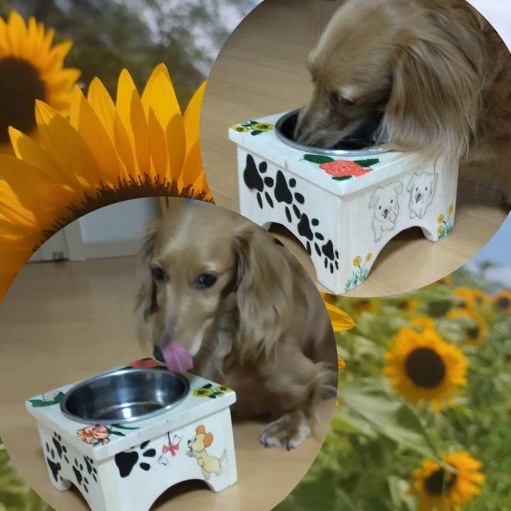 957ce0b2 fe1a 47cb 9ecd 96613ddc1b72 1662597973908