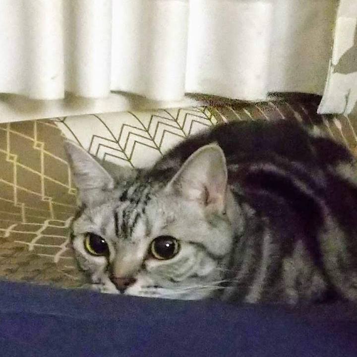 957ce885 a9f7 43c2 8456 f6a5e34ce7f5 1725716559134