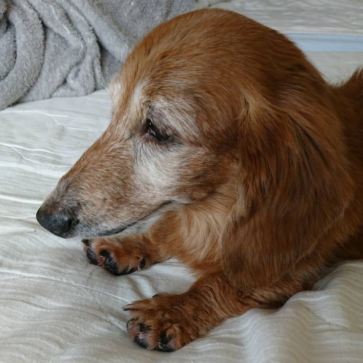 957ce97a 58b4 4a06 98b8 af33a9957144 1510626184526