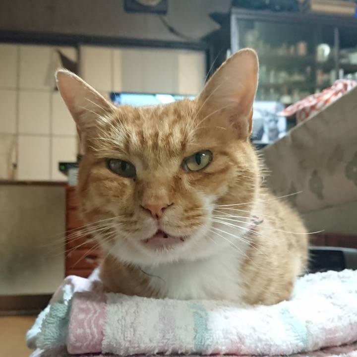 957d0a6d 94c9 44e1 81d3 8c5197893395 1603876018444