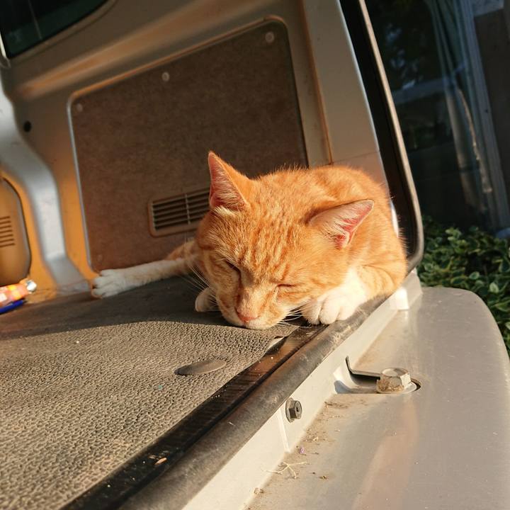 957d0f73 2a3b 4aa7 b4c2 e34b14e93704 1597268175562