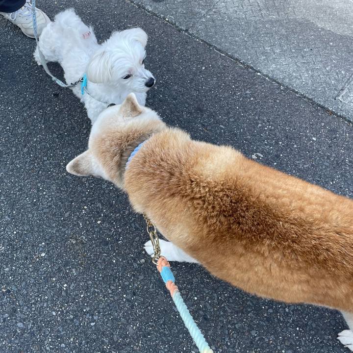 957d213b aac2 43c5 9204 75353b712b77 1672726441428