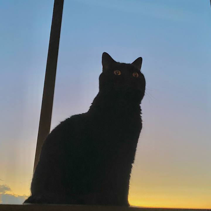 957d3eb9 01d9 49b0 bf69 f513e0cbd156 1708159294590