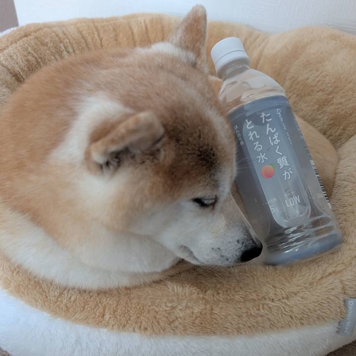 957d6a27 ddf8 4a85 a081 6cd794cd55d0 1765593544629