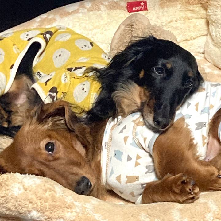 957da955 afa2 4e89 86f1 d20725f967c9 1706701415178