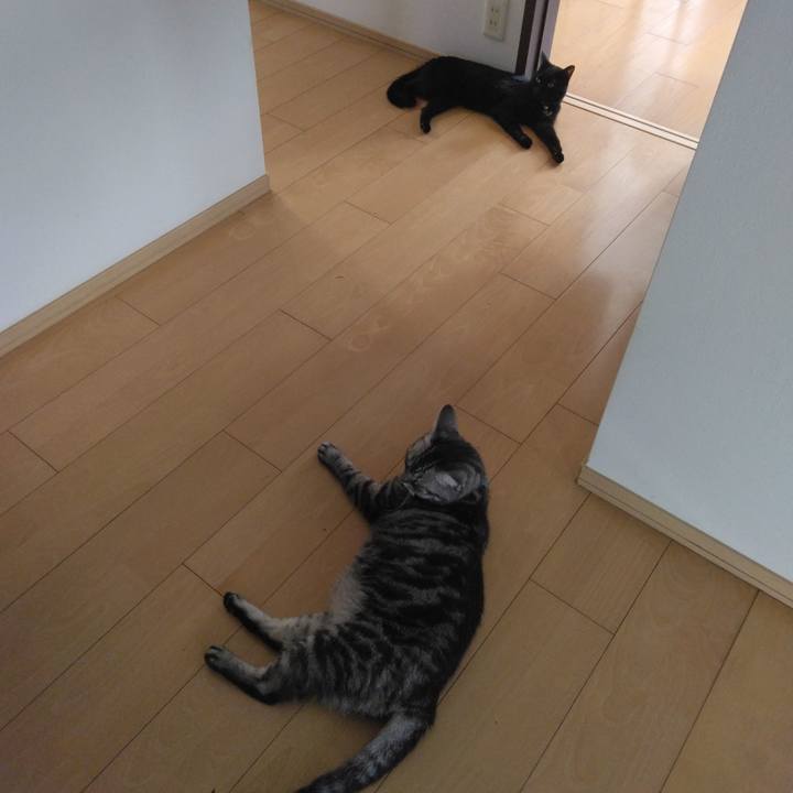 957ddab0 f396 4a98 88f5 d0f5d5ebc387 1757212617511