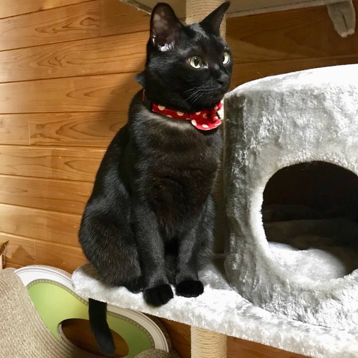 957ddb82 61ca 4b63 9e0d cb86ad9c157f 1520949908255