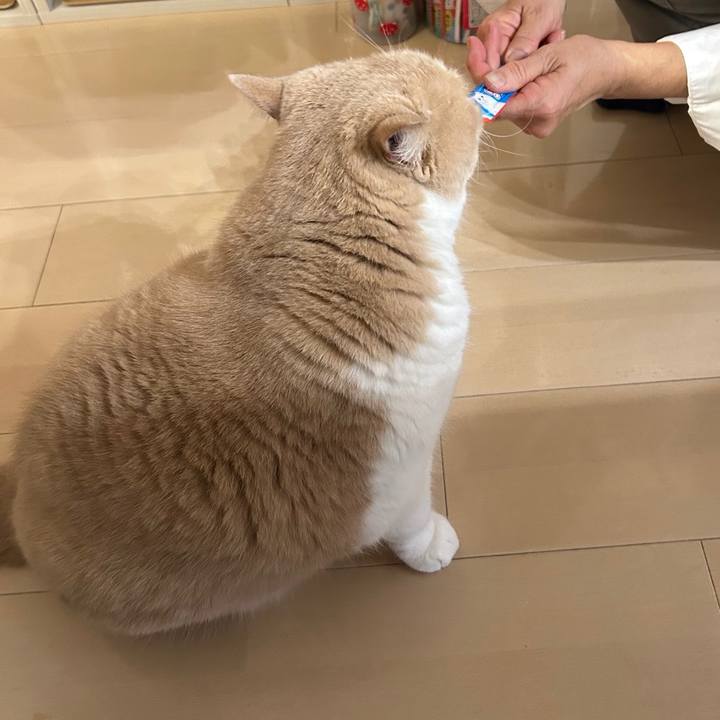 957def77 3993 45c4 886c 4cce4bcd6dd1 1702187091664