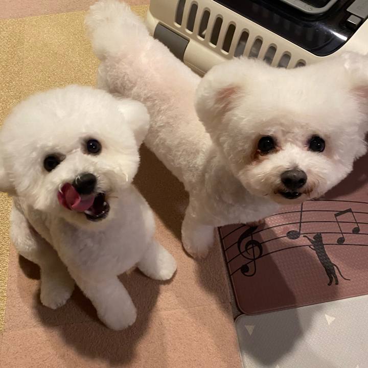 957dffa4 b102 4e59 9d16 368d1fa82f80 1763369543205