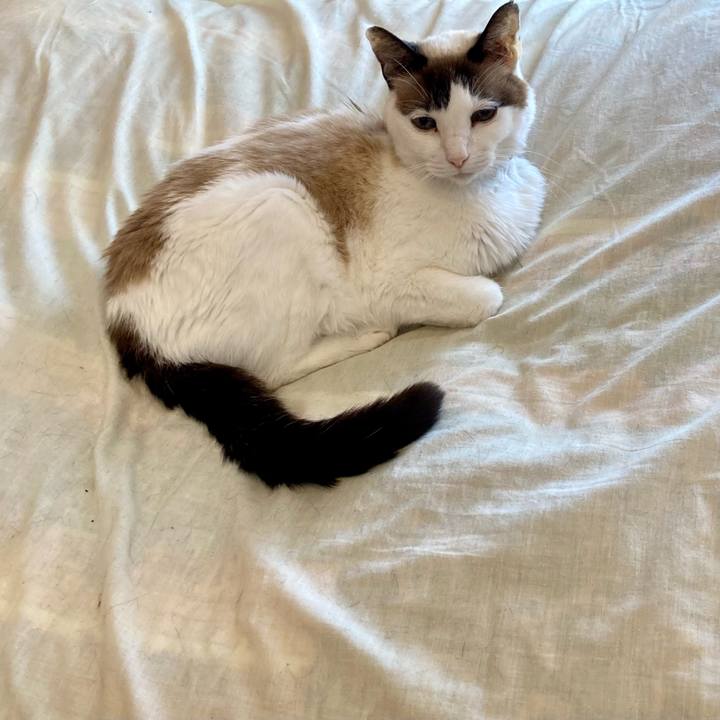 957e1108 2ca4 47dc 8bd6 fb679148bdb2 1678872761863