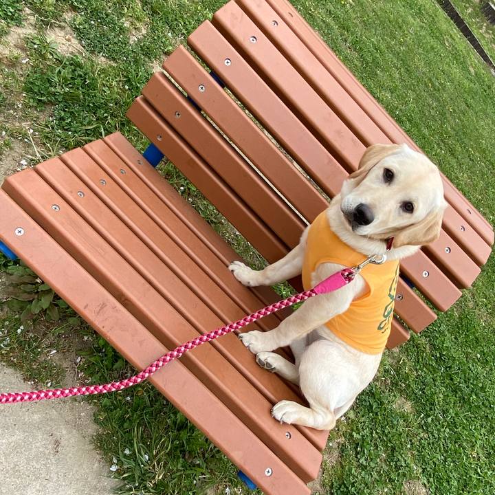 957e1cfd ee31 4368 9d7c 1627fc597607 1618211045255