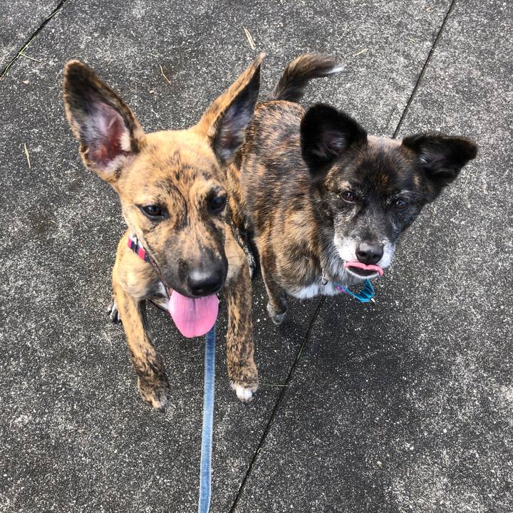 957e2352 935f 4b93 a43d ddf7da5fb094 1569246902073