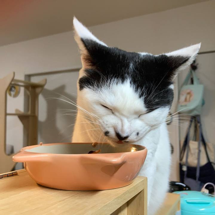 957e290f fe99 497b aa17 022908a889d8 1761684626698