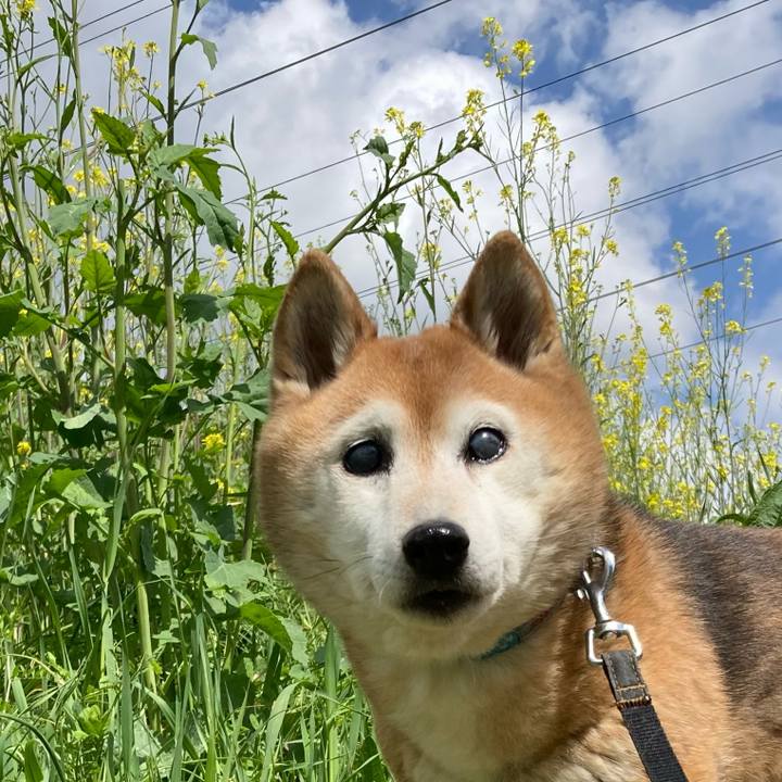 957e2aaa f553 4d6f 8c08 9b053cb63f2c 1774585480792