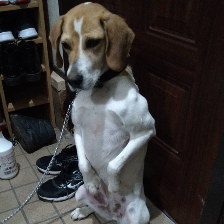 957e7fcf 632d 470b a190 ab7956714fa7 1621087884354