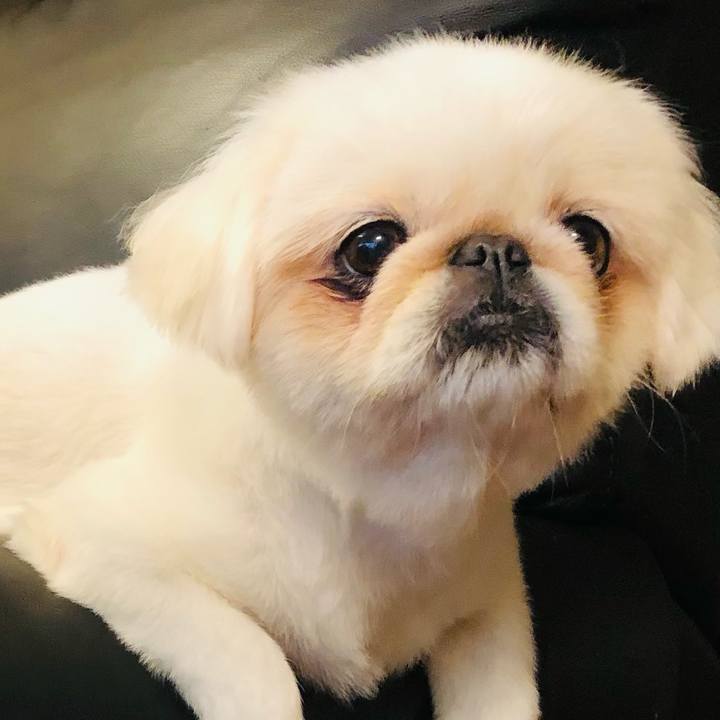 957e9b10 19d7 45f5 8698 829351a63d90 1630918210182