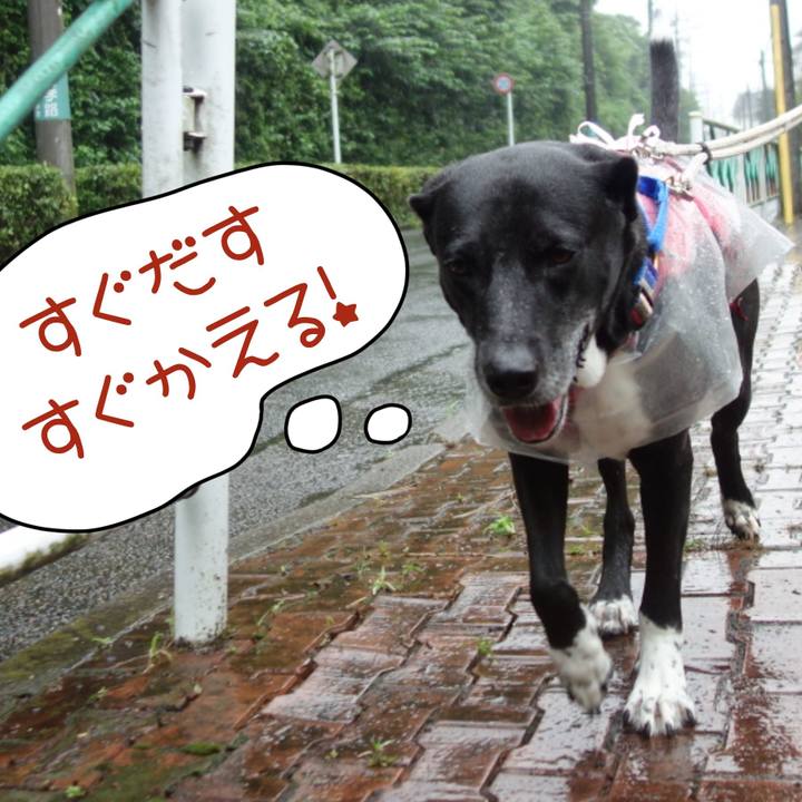 957eacdb 7ab4 4e5e 8790 d205c827ece7 1657843371482