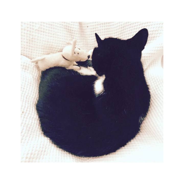 957ebf96 7f84 43e4 b2ae 38e36b867930 1594376242213